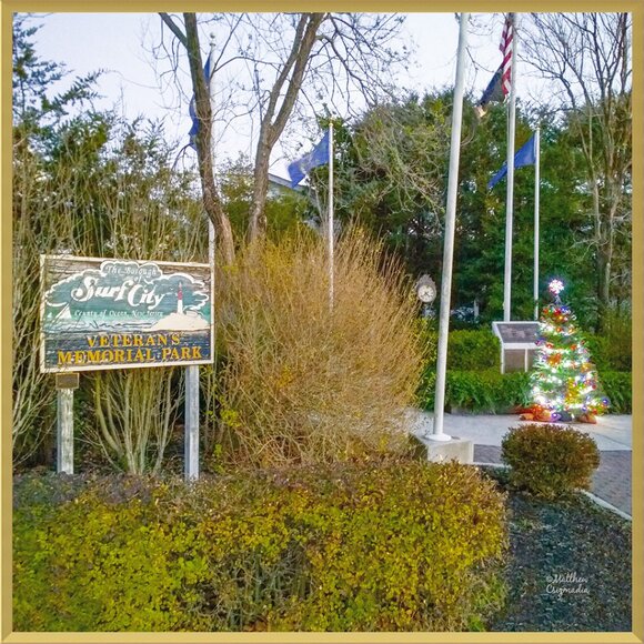 Veteran's Memorial Park Christmas Tree